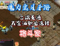 魔力宝贝格斗加点-魔力宝贝 格斗加点