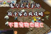 魔力宝贝格斗师加点图-魔力宝贝格斗都学什么技能